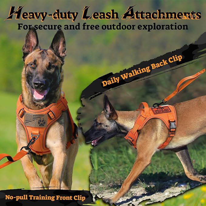 rabbitgoo Dog Harness for Large Dogs No Pull, Tactical Service Pet Vest with Molle and Control Handle, Adjustable and Reflective Military Harness for Easy Walking and Training, Orange, XL-Mewly Pet