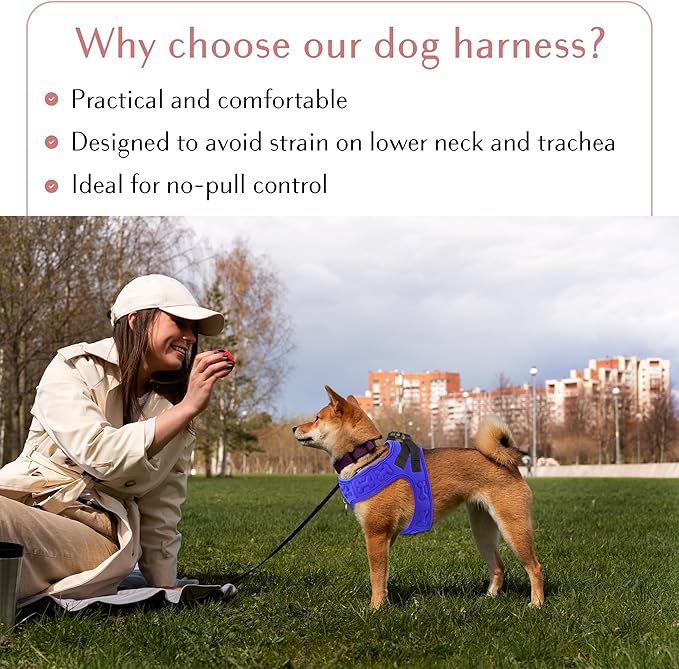 Comfort Fit Dog Harness Soft Padded No Pull Harness with Adjustable Buckles for Small Medium Large Dogs Step in Pet Vest with Easy Control Handle for Walking Jogging Running Training Dogs & Puppies-Mewly Pet