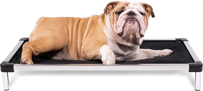 K9 Ballistics Chew Proof Armored Padded Dog Crate Bed, Virtually Indestructible, Legs Included (Obsidian Black, Small (29" L x 18" W x 4.5" H))-Mewly Pet