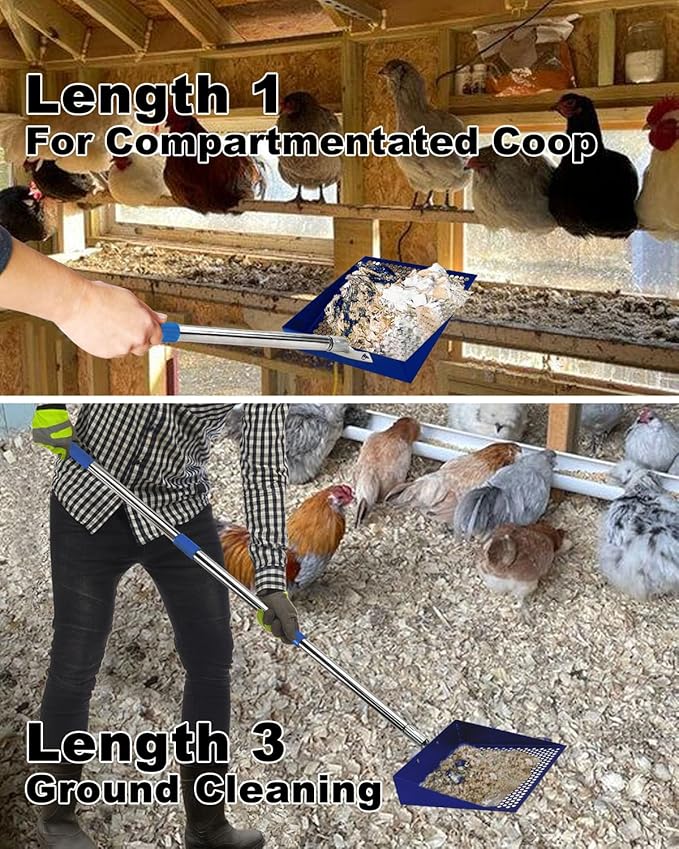 Large Chicken Poop Scooper, Chicken Coop Accessories,Metal Litter Scooper For Chicken,Chicken Coop Cleaning Tools,Heavy Duty Poop Shovel For Chicken Coop Accessories,Chicken Coop Must Haves (Blue)-Mewly Pet