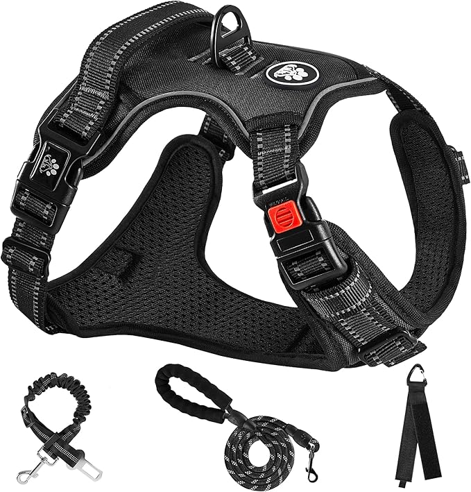 NESTROAD No Pull Dog Harness,Adjustable Oxford Dog Vest Harness with Leash,Reflective No-Choke Pet Harness with Easy Control Soft Handle for Small Dogs(Small,Black)-Mewly Pet