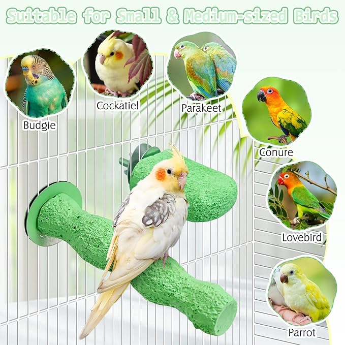 PINVNBY 5 Pack Bird Perch Resin Bird Beak Grinding Stone Parrot Cage Perch Stand Platform Foot Claws Trimmer Chew Toy Bird Cage Accessories for Budgie Cockatiel Conure Lovebird Finch (Green)-Mewly Pet