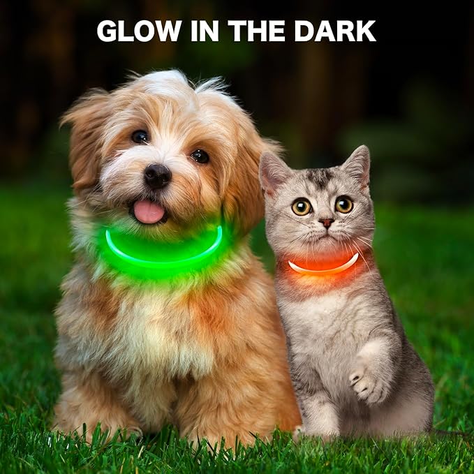 BSEEN Light Up Dog Collar - Rainproof LED Dog Collar Rechargeable - TPU Cuttable Glowing Pet Collar for Small Puppies& Cats, Safety Dog Lights for Night Walking& Camping (XS- Orange 40cm)-Mewly Pet