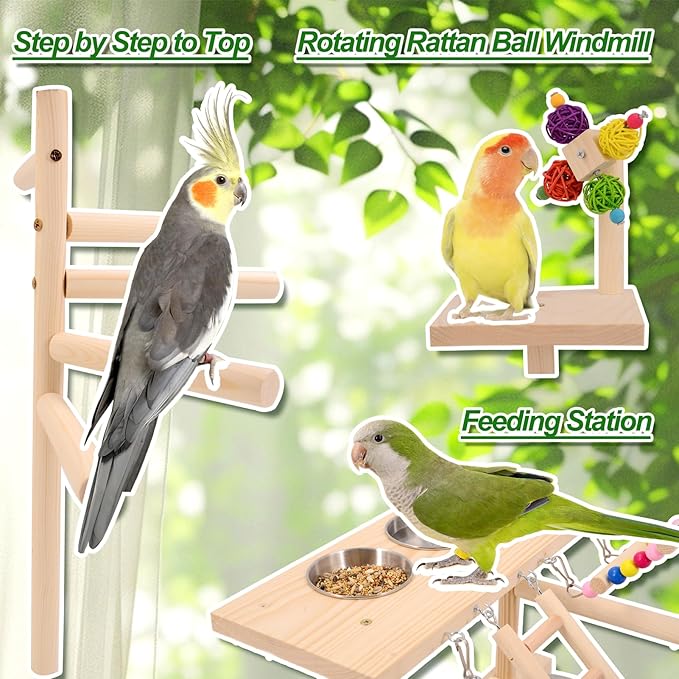 Wooden Bird Parrots Playground, Bird Perch Stand, with Bird Ladder Chewing Toys, Out of Cage Accessories-Mewly Pet