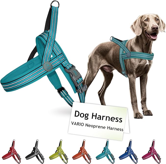 DOCO No-Pull Dog Harness Halter Reflective Easy-Control Harness for Training, Walking, and Preventing Pulling, Ideal for Medium Dogs(Turquoise)-Mewly Pet