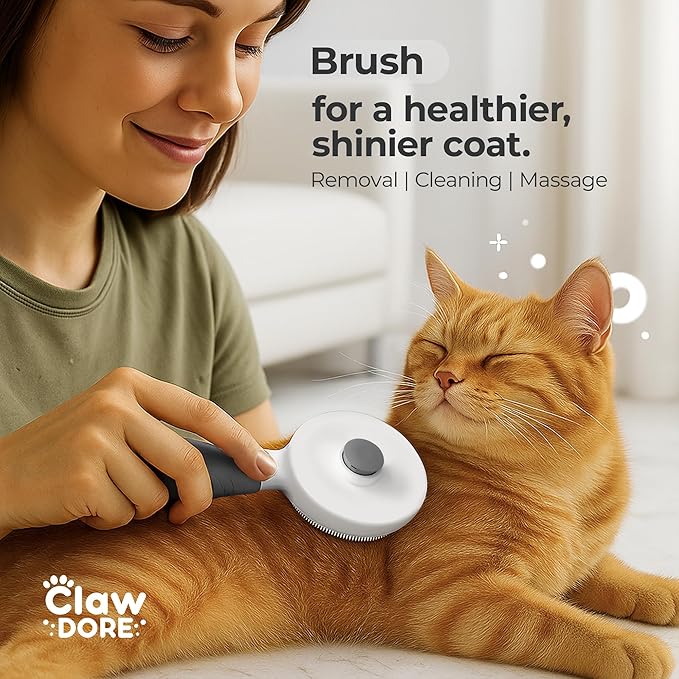 XL Stainless Steel Litter Box with Lid for Big Cats - Prevents Odor & Stains - Leak-Proof, Rust-Free & Non-Stick - Extra Large Cat Litter Box Stainless Steel with Scooper, Brush, Bowl & Mat Included-Mewly Pet