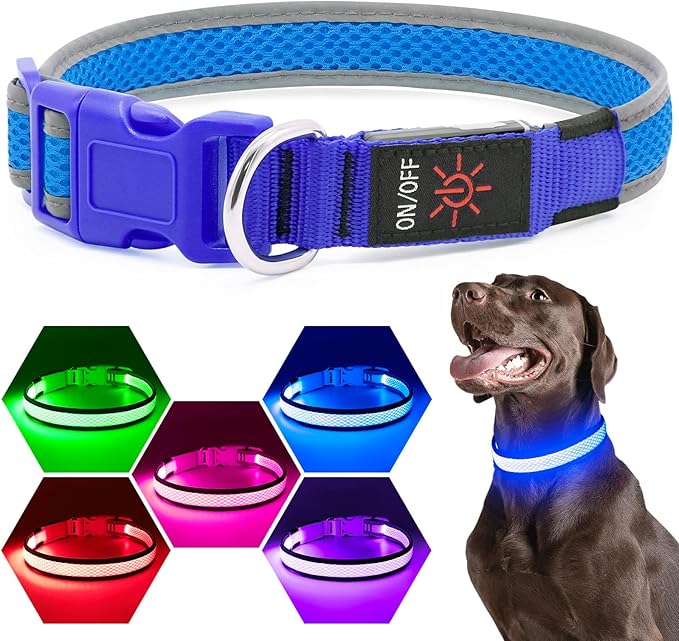 LED Dog Collar, Light Up Dog Collar USB Rechargeable, Brightest Dog Lights for Night Walking, Adjustable Dog Collar Light for Dog Safety(Small, Royal Blue)-Mewly Pet