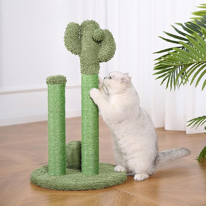 Amazon Basics Cat Scratcher - Indoor Cactus Triple Posts Cat & Kittens Scratching Post with Dangling Ball, Large (27"H) - Green-Mewly Pet