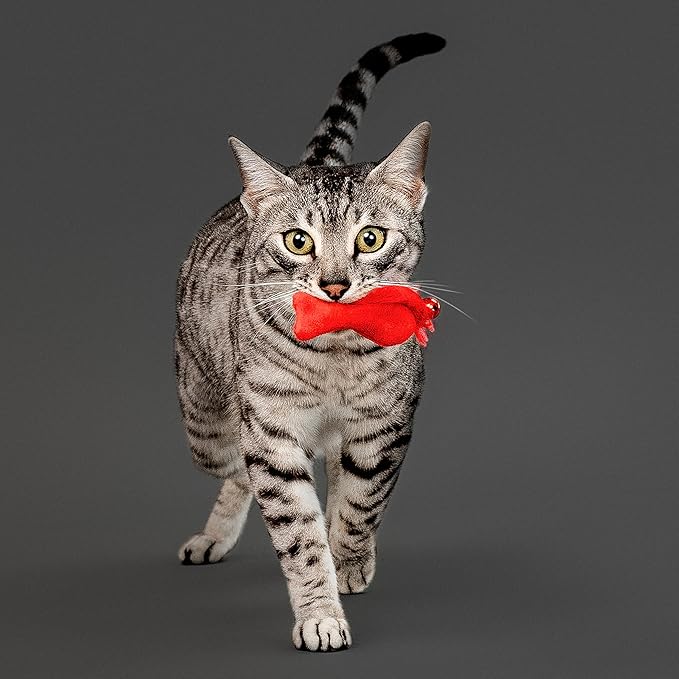 Playology Cat Toy Set | 5-Pack Feather Fish | Interactive Feather Toys for Cats | Stimulating Playtime Fun-Mewly Pet