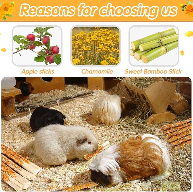 Apple Sticks for Rabbits, Natural Bunny Chew Toys Wood Treats Food for Small Animals,Hamsters, Chinchillas Squirrel Bunny Guinea Pigs Small Pet Apple Chew Sticks-Mewly Pet