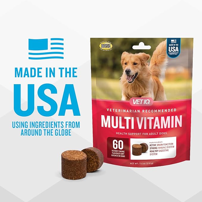 VetIQ Multivitamin Supplement for Dogs, Supports Active Brain Function, Immune System, and Digestive System, Hickory Smoke Flavored Dog Multivitamin, Made in The USA, 60 Count (Pack of 2)-Mewly Pet