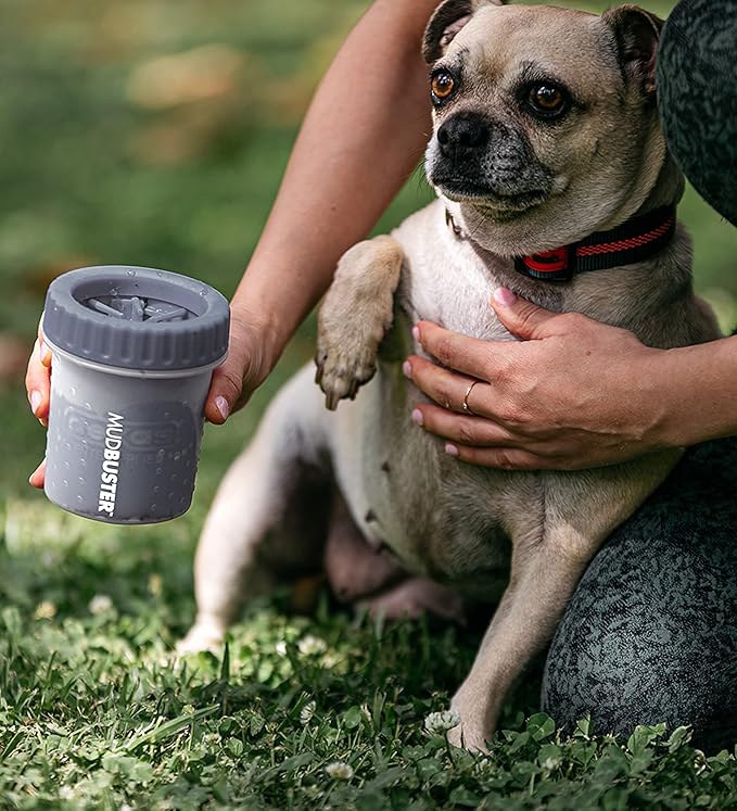 Dexas MudBuster Portable Dog Paw Cleaner, Premium Quality Small Light Gray Pet Accessory-Mewly Pet