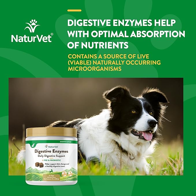NaturVet – Digestive Enzymes - Plus Probiotics & Prebiotics – Helps Support Diet Change & A Healthy Digestive Tract – for Dogs & Cats (Soft Chews, 120 Count)-Mewly Pet