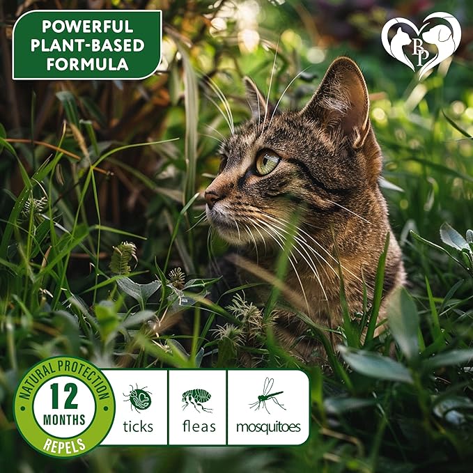 Natural Flea & Tick Collar for Cats - 12 Months Control of Best Prevention & Safe Treatment - Anti Fleas and Ticks Essential Oil Repellent (2 Pack)-Mewly Pet