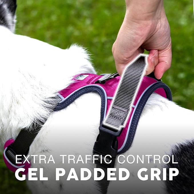 Embark Adventure Dog Harness, Reflective Trim No Pull Dog Harnesses for Small Sized Dogs - Military Grade Nylon, Front Clip with Gel Lined Handle.-Mewly Pet