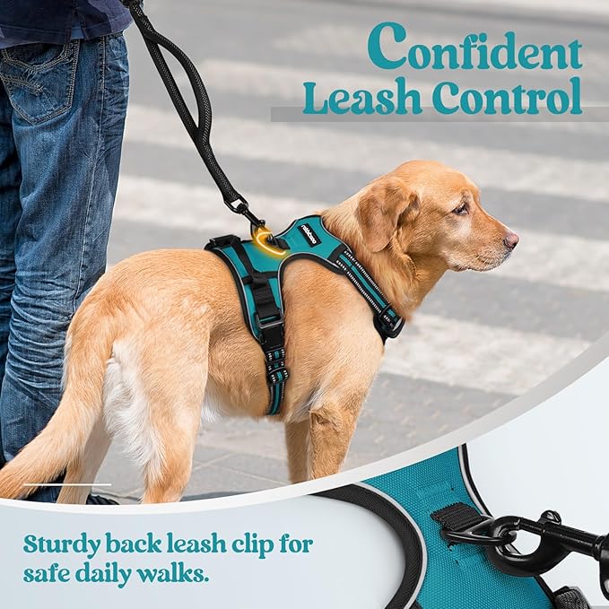rabbitgoo Dog Harness No Pull with 2 Leash Clips, Adjustable Soft Padded, Reflective Oxford No Choke Pet Vest with Easy Control Handle for Small Dogs, Teal, S-Mewly Pet
