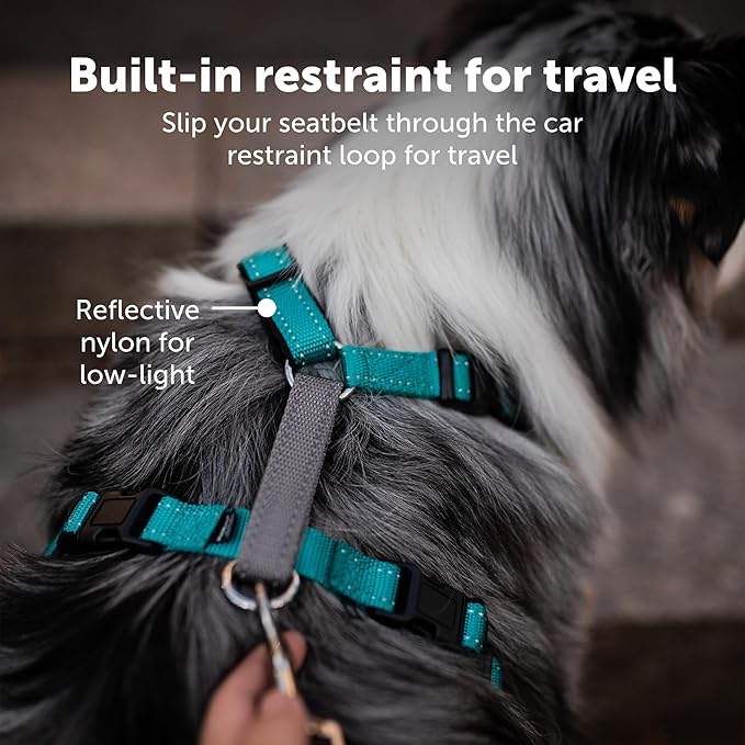 PetSafe 3 in 1 Dog Harness - No Pull Solution for Dogs - Reflective Dog Harness - Front D-Ring Clip Helps Stop Pulling - Comfortable Padded Straps - Top Handle Enhances Control - Black - Small-Mewly Pet