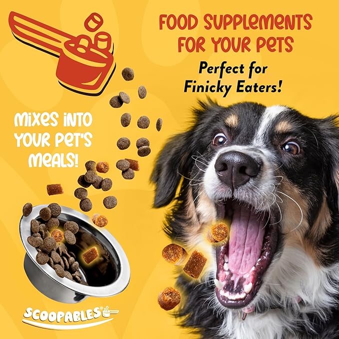 NaturVet Scoopables Advanced Probiotics for Dogs - Chewable Dog Probiotics & Digestive Enzymes - Support a Healthy Gut for Your Pet - Hickory Smoked Bacon Flavor | 11oz Bag-Mewly Pet