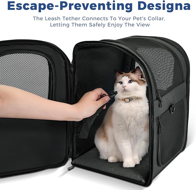 Apollo Walker Dog & Cat Carrier Backpack for 4-15lb Pets - Ventilated Safe Design with Padded Back Support, Breathable Mesh Pet Backpack for Hiking, Travel, Outdoor (Black)-Mewly Pet