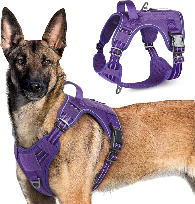 rabbitgoo Tactical Dog Harness for Large Dogs, No Pull Military Service Vest with Handle & Molle, Easy Control for Training Walking, Adjustable Reflective Straps, Purple, XL-Mewly Pet