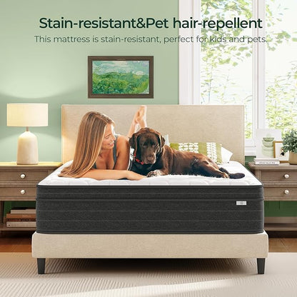 koorlian Queen Mattress 10 Inch - Cooling Hybrid Mattress in a Box for Back Pain Relief - Pocket Spring & Memory Foam | Fiberglass-Free, Medium Firm Feel, CertiPUR-US, 120 Nights Trial