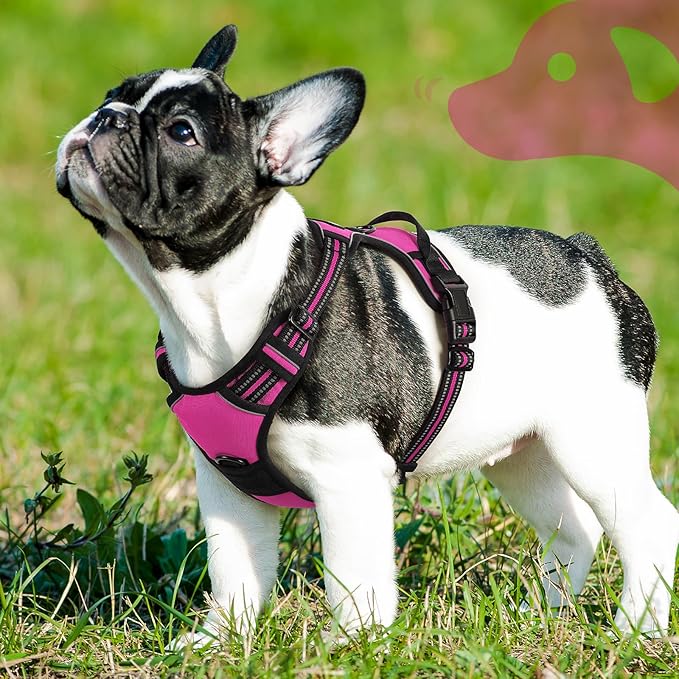 Eagloo Dog Harness Small Sized Dog, No Pull Service Vest with Reflective Strips and Control Handle, Adjustable and Comfortable for Easy Walking, No Choke Pet Harness with 2 Metal Rings, Rose Red, S-Mewly Pet