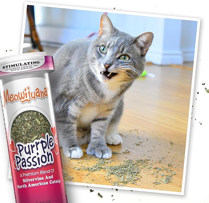 Meowijuana Purrple Passion Cat Nip - Premium Organic Blend of Catnip for Cats & Silvervine, Stimulates Playful Behavior, 26g, Natural Wellness Gift for Cat Lovers-Mewly Pet