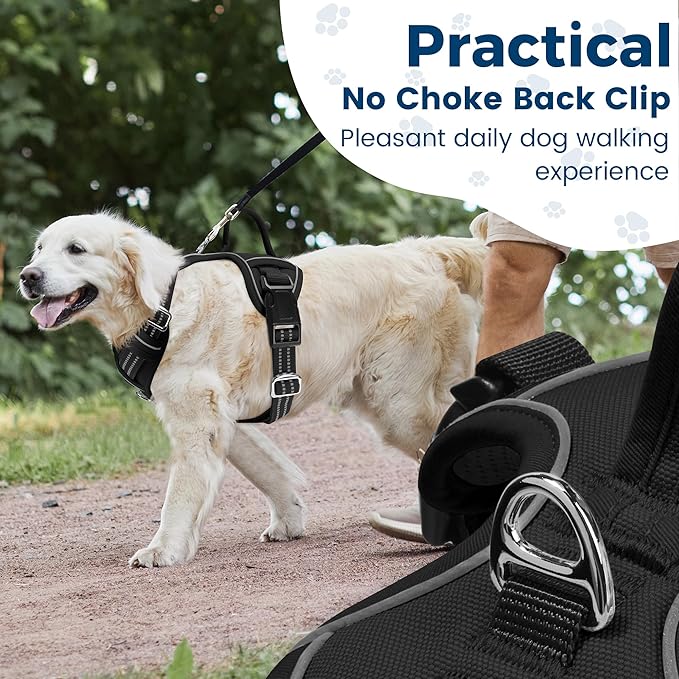 Funfox Dog Harness No Pull, Adjustable Dog Vest Harness, Super Soft Material with Vertical Handle Easy Control, Reflective Night Walking, 2 Leash Clips for Small Medium Large Size, Black, S-Mewly Pet