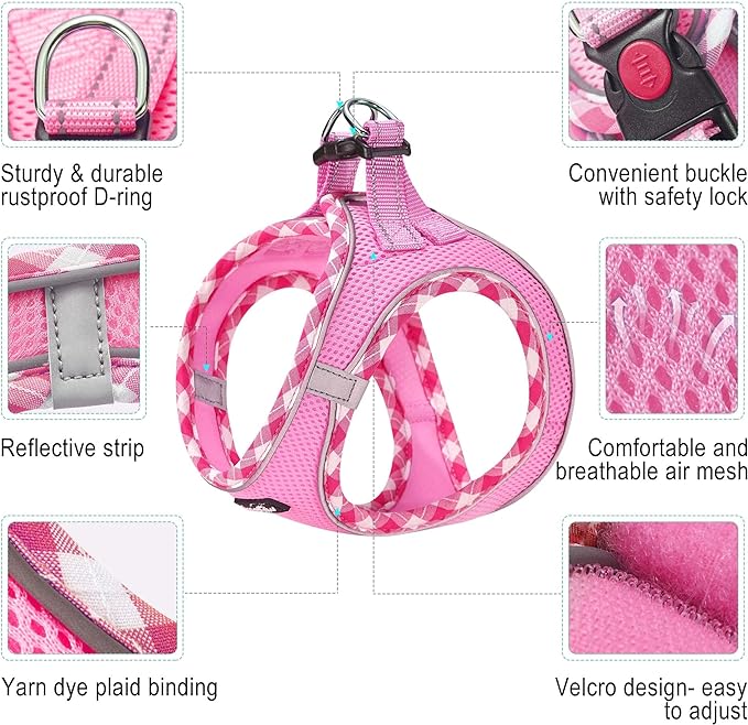 haapaw Dog Harness with Leash Set, No Pull Adjustable Reflective Step-in Puppy Harness with Thickened Padded Vest for Extra-Small/Small Medium Dogs-Mewly Pet