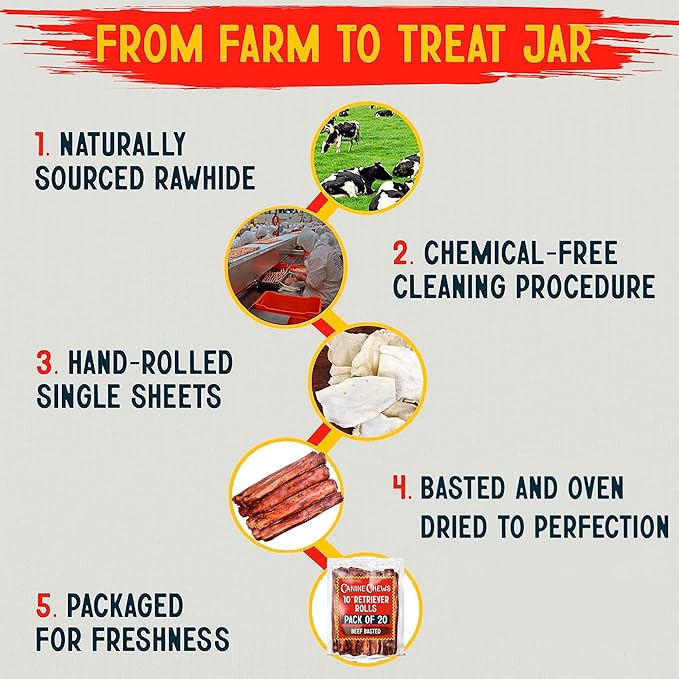 Canine Chews 10" Beef Basted Rawhide Bones for Large Dogs - 20 Pack - Hand-Rolled Dog Chews Basted in Beef Broth - Promotes Dental Health-Mewly Pet