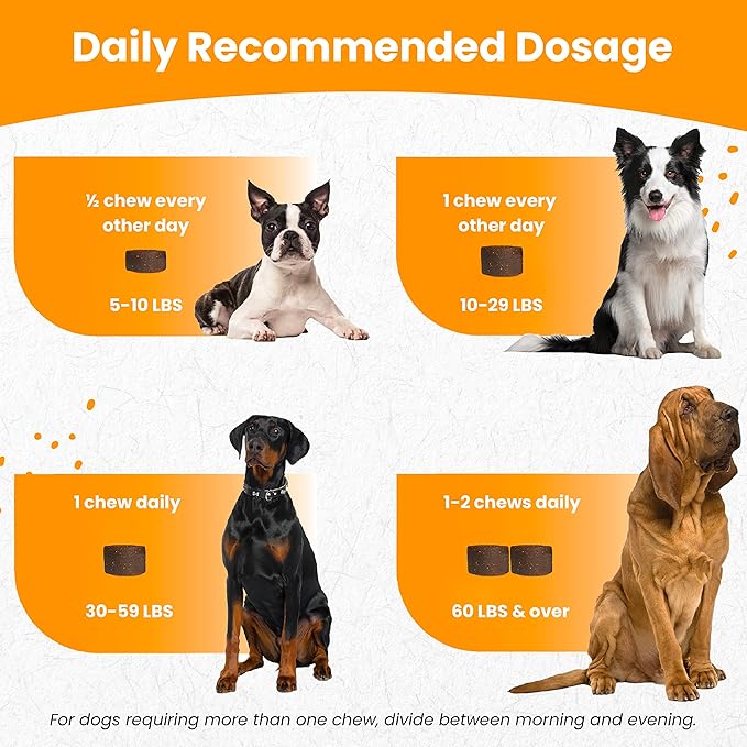 Nootie Glucosamine for Dogs - 250 ct - Hip and Joint Soft Chews Supplement for Dogs - Daily Dog MSM Chondroitin Chews with Turmeric - Joint Care Vitamins for All Breeds and Sizes USA-Mewly Pet