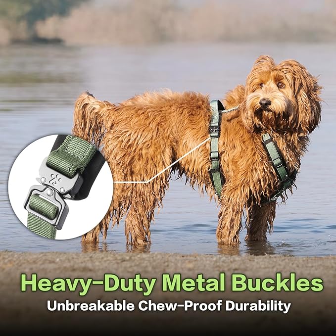 CLEPAWS Dog Harness for Medium Dogs, No Pull Dog Harness Easy Walk with Metal Hardware, Ergonomic Y-Shaped Design, Soft Padding, Padded Handle, Durable High-Tensile Nylon (Evergreen, M)-Mewly Pet