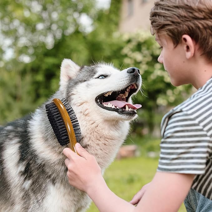 TAKAVU Pin & Bristle Pet Brush for Dogs & Cats - Double Sided Grooming Tool Detangles, Removes Loose Hair & Conditions Coat - Wood Handle-Mewly Pet