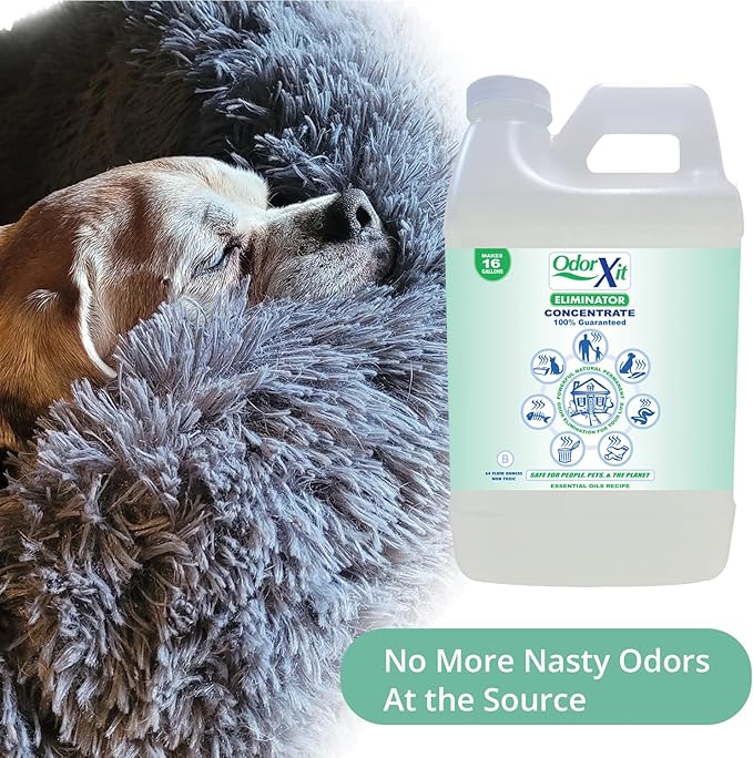 Concentrated Pet Urine Odor Eliminator, Ideal for Cat, Dog Poo and Urine Smell, Versatile & Natural Odor Neutralizer for Home and Outdoor Use, Deodorizer & Absorber, Concentrate, 64oz-Mewly Pet