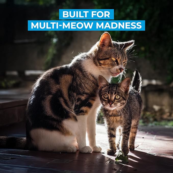 Cat Litter Deodorizer – Pet Safe Odor Eliminator & Housebreaking Supplies for Cats, Kittens, & Small Pets – Natural, Unscented, Non Toxic, Low Dust, 1 lb, by HugsandTails-Mewly Pet