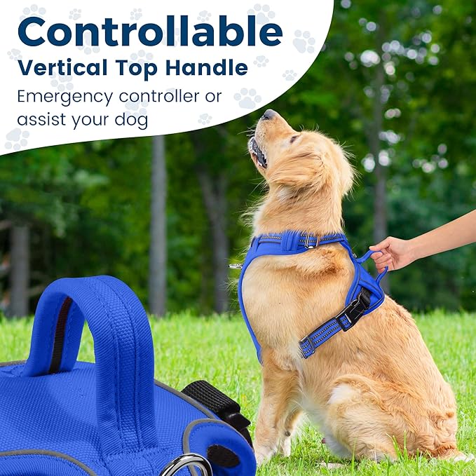 Funfox Dog Harness No Pull, Adjustable Pet Vest Harness, Super Soft Material with Vertical Handle Easy Control, Reflective Night Walking, 2 Leash Clips for Medium Sized Dogs, Blue, M-Mewly Pet