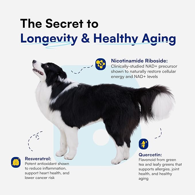 NAD+ Precursor & Senior Dog Supplement - 90 Soft Chews & Vitamins - NMN Alternative for Longevity, Anti-Aging & Energy - Nicotinamide Riboside, Resveratrol, Quercetin, Made with Pasture-Raised Chicken-Mewly Pet
