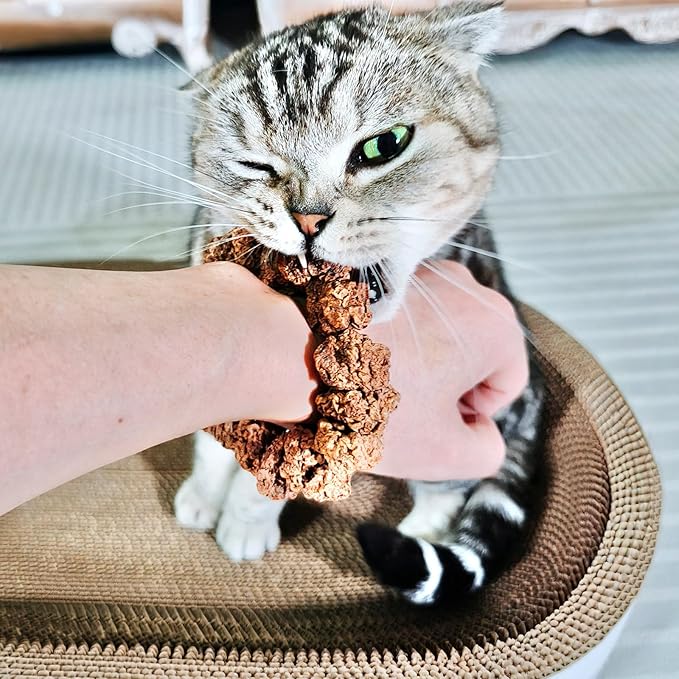 Natural Silvervine Gall Fruit Cat-Attracting Bracelet,Interactive Cat Toy for Indoor Cats,Cat Chew Toy with Gallfruit | Catnip & Silvervine Alternative, Stress Relief & Gift-Mewly Pet