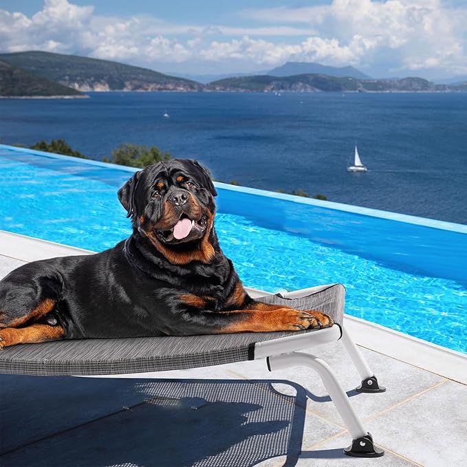 Veehoo Elevated Dog Bed for Outdoor, Cooling Waterproof Raised Dog Cots Beds XL, Curved Off Ground Pet Hammock Cot Lifted for Outside, up to 150lbs, White Legs, Black Silver 49"-Mewly Pet