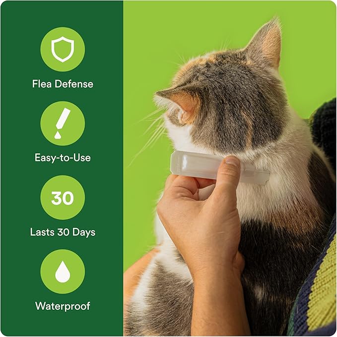 Plus Flea Prevention for Cats, Cat and Kitten Treatment & Control, Small and Large, Fast Acting Waterproof Topical Drops, 2 Month Supply-Mewly Pet