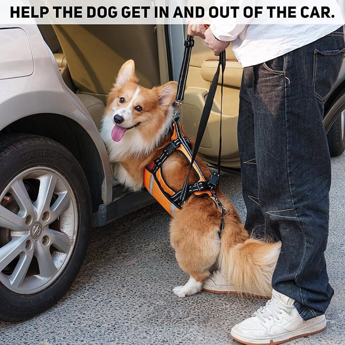 COODEO Mobility Dog Lift Harness, Emergency Carry Sling, Pet Rear Leg Support Rehabilitation Lifts Vest, Dog Carrier for Senior Dogs Joint Injuries, Arthritis (Orange, XL)-Mewly Pet