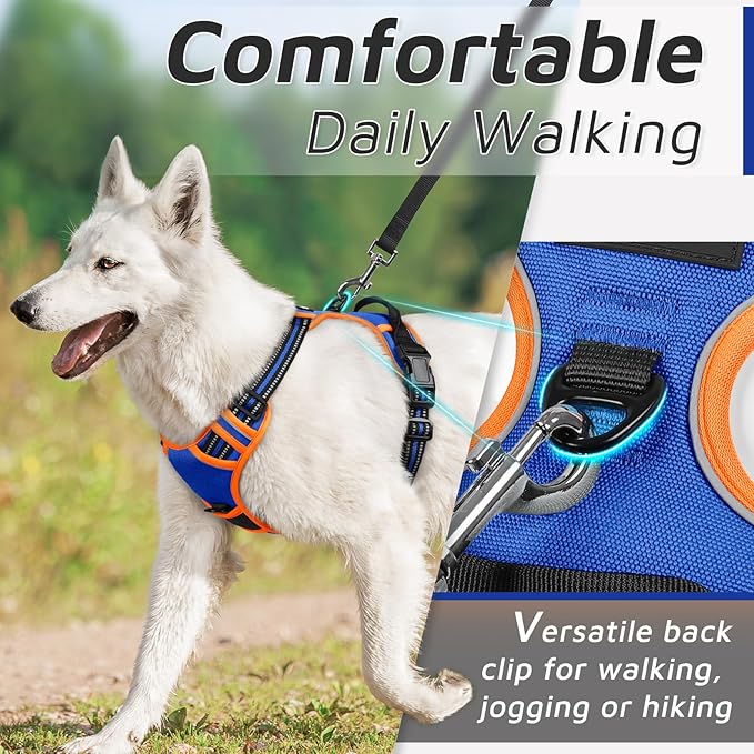 Eagloo Dog Harness Small Sized Dog, No Pull Service Vest with Reflective Strips and Control Handle, Adjustable and Comfortable for Walking, No Choke Pet Harness with 2 Metal Rings, Blue & Orange, S-Mewly Pet