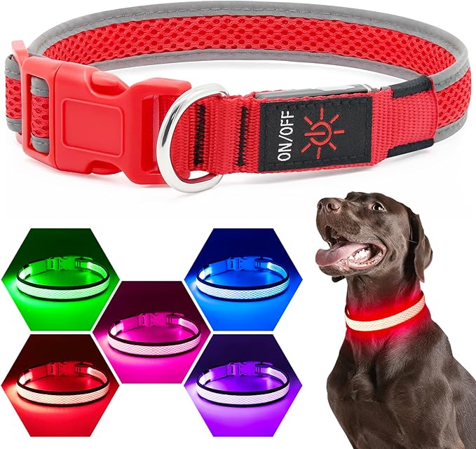 Flashseen LED Dog Collar, Light Up Dog Collar USB Rechargeable, Brightest Dog Lights for Night Walking, Adjustable Dog Collar Light for Dog Safety(Small, Ruby Red)-Mewly Pet