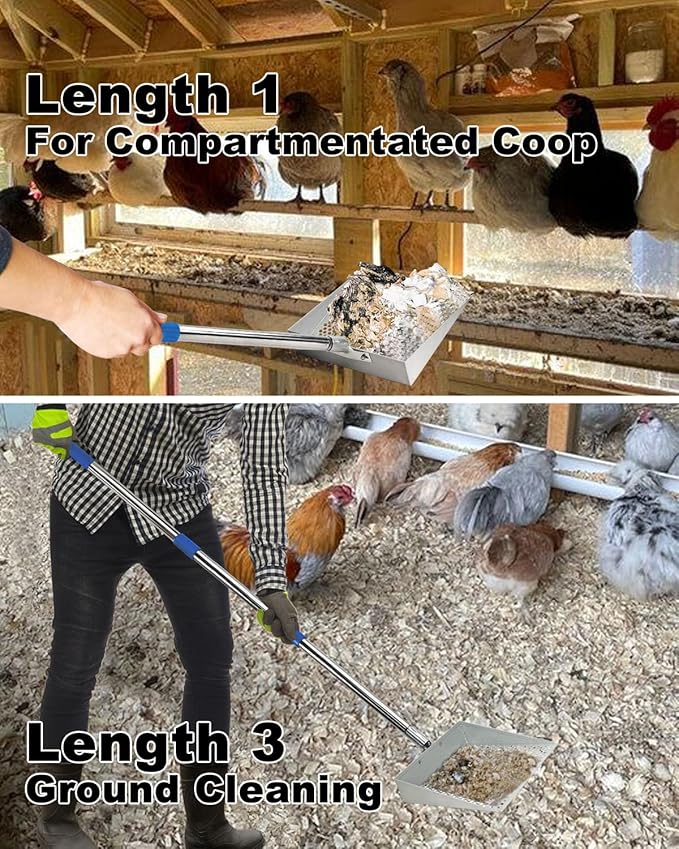 Large Chicken Poop Scooper, Chicken Coop Accessories,Metal Litter Scooper for Chicken,Chicken Coop Cleaning Tools,Heavy Duty Poop Shovel,Chicken Coop Must Haves(Silver)-Mewly Pet