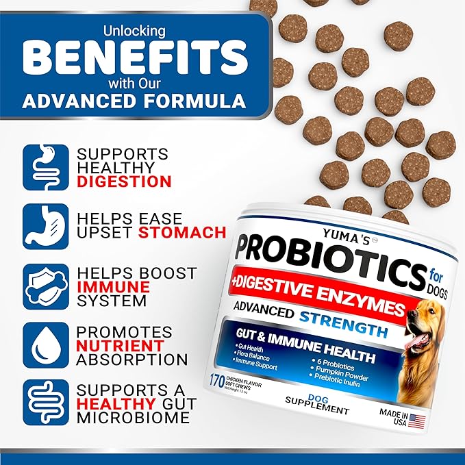 Probiotics for Dogs and Digestive Enzymes - 170 Dog Probiotics Chews - Dog Probiotic - Anti Diarrhea, Upset Stomach & Gas Relief, Constipation, Canine Prebiotic - Pet Fiber Supplement - Gut Health-Mewly Pet