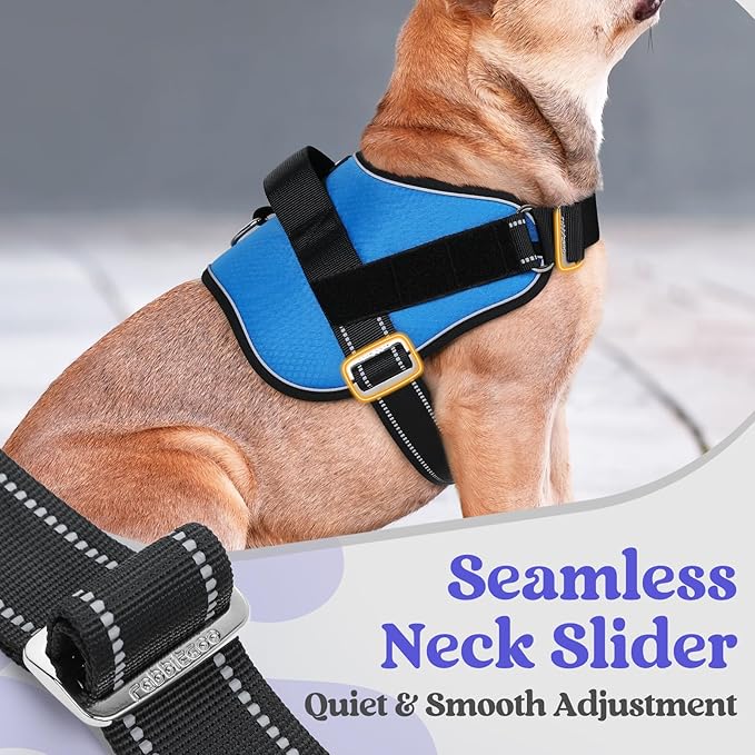 rabbitgoo Dog Harness for Small, Easy On Pet Vest with One Buckle, No Pull Adjustable Service Harness with D-Ring & Handle, Reflective for Safety Walking, Training, Blue, S-Mewly Pet