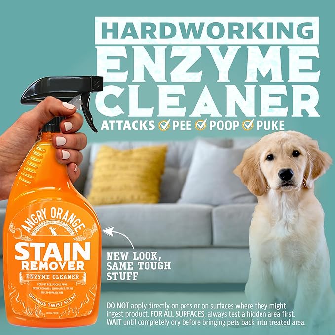 ANGRY ORANGE Pet Stain Remover for Dog Urine and Stains - Enzyme Cleaner - Citrus - Value 2 pack-Mewly Pet