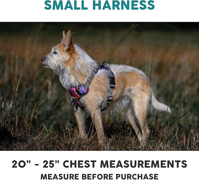 Embark Adventure Dog Harness, Reflective Trim No Pull Dog Harnesses for Small Sized Dogs - Military Grade Nylon, Front Clip with Gel Lined Handle. Soft & Padded Puppy-Mewly Pet