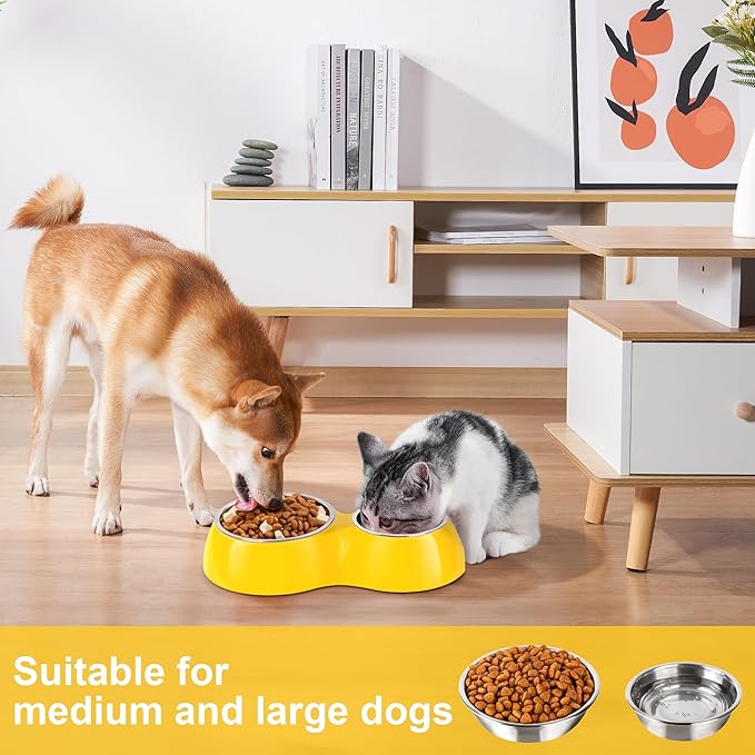 Elevated Dog Bowls Set - Non-Slip Raised Pet Feeder with Medium (2 Cups) & Large (4 Cups) Stainless Steel Bowls - Includes Durable Resin Stand for Puppies, Adult Dogs & Cats - Yellow-Mewly Pet