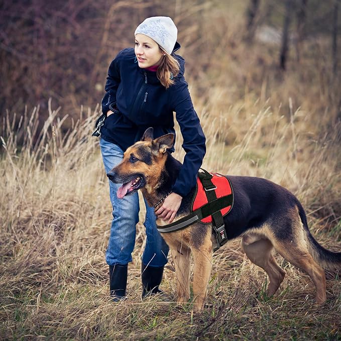 Dogline Dog Harness, Reflective No-Pull Adjustable Vest with Handle for Walking, Training, Service Breathable No - Choke Harness for Small, Medium or Large Dogs Room for Patches Girth 15 to 18 in Red-Mewly Pet